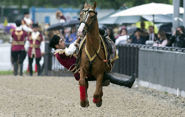 Royal Windsor Horse Show