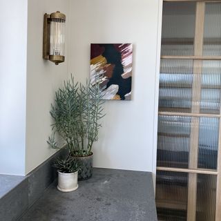 wall light plants and picture in corner of kitchen