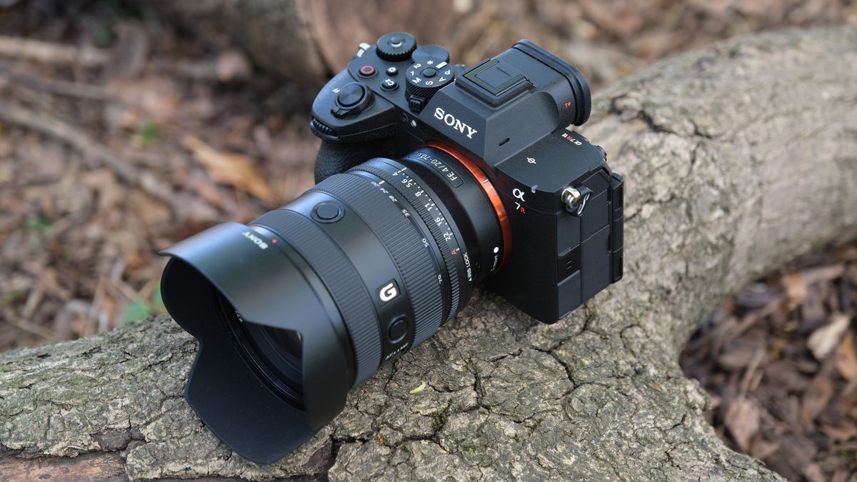 Sony A7R VI with Sony FE 20-70mm G lens resting on a tree trunk.