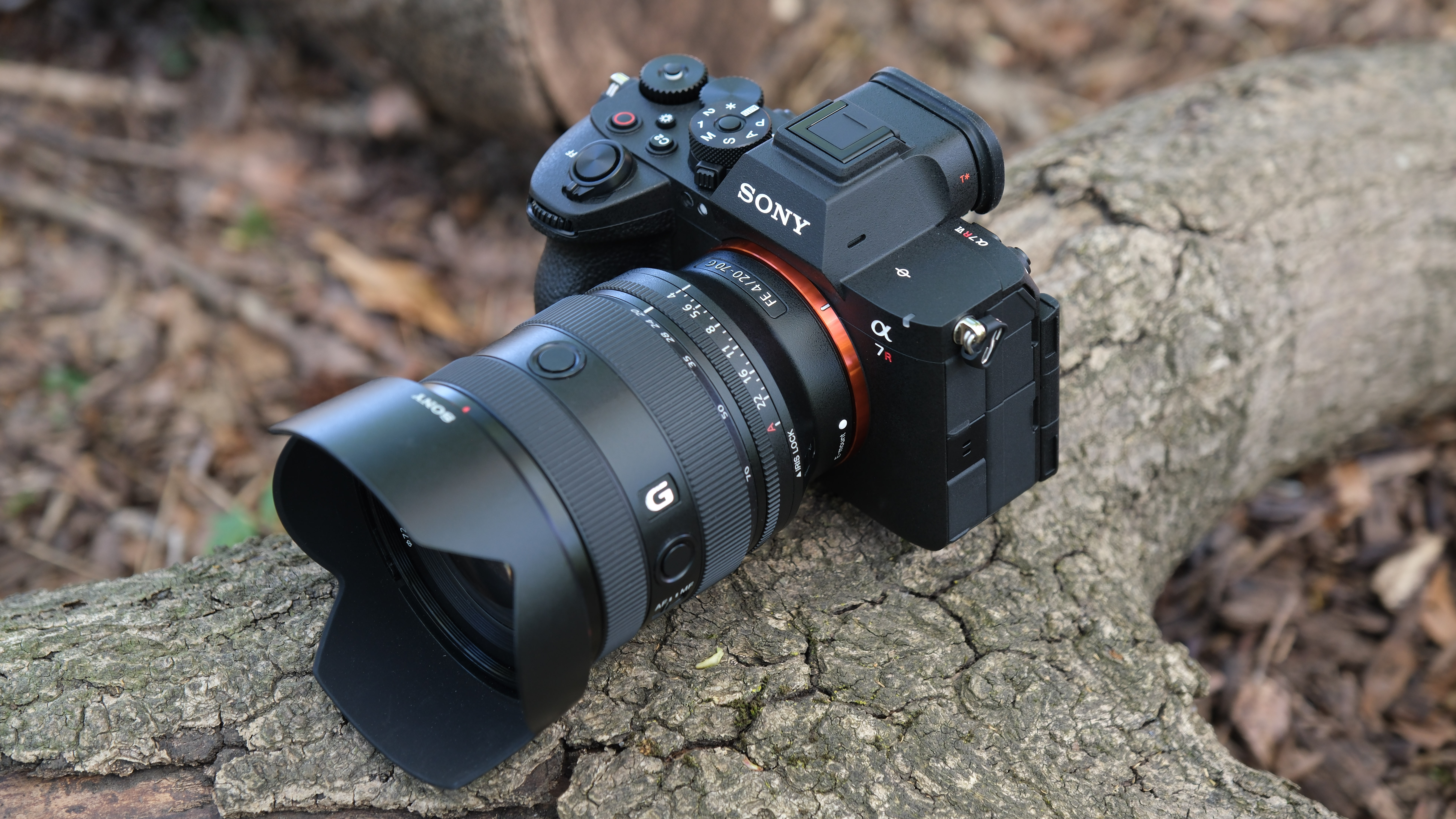 Sony A7R VI with Sony FE 20-70mm G lens resting on a tree trunk.