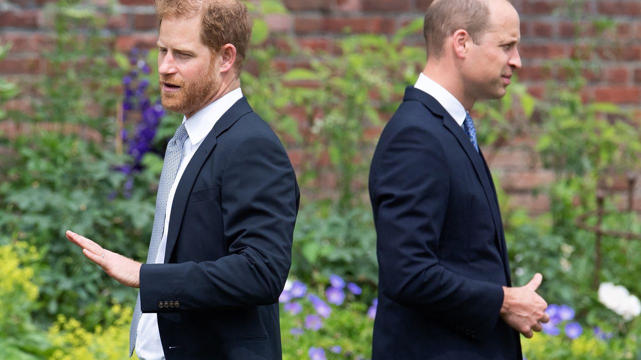 Britain&#039;s Prince Harry, Duke of Sussex (L) and Britain&#039;s Prince William, Duke of Cambridge attend the unveiling of a statue of their mother, Princess Diana at The Sunken Garden in Kensington Palace, London on July 1, 2021, which would have been her 60th birthday. - Princes William and Harry set aside their differences on Thursday to unveil a new statue of their mother, Princess Diana, on what would have been her 60th birthday