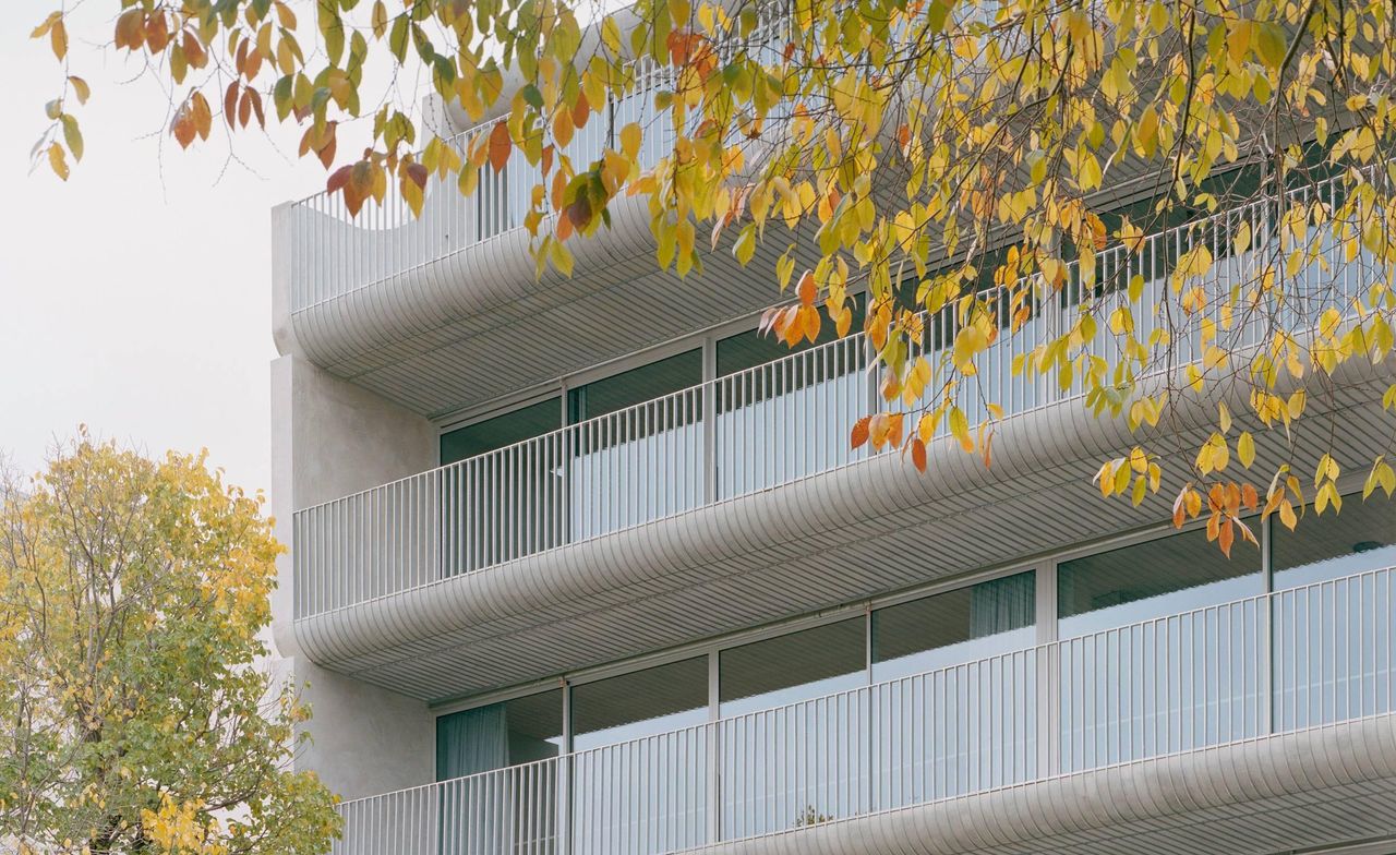 Fitzroy apartment, 231 Napier Street by Edition Office