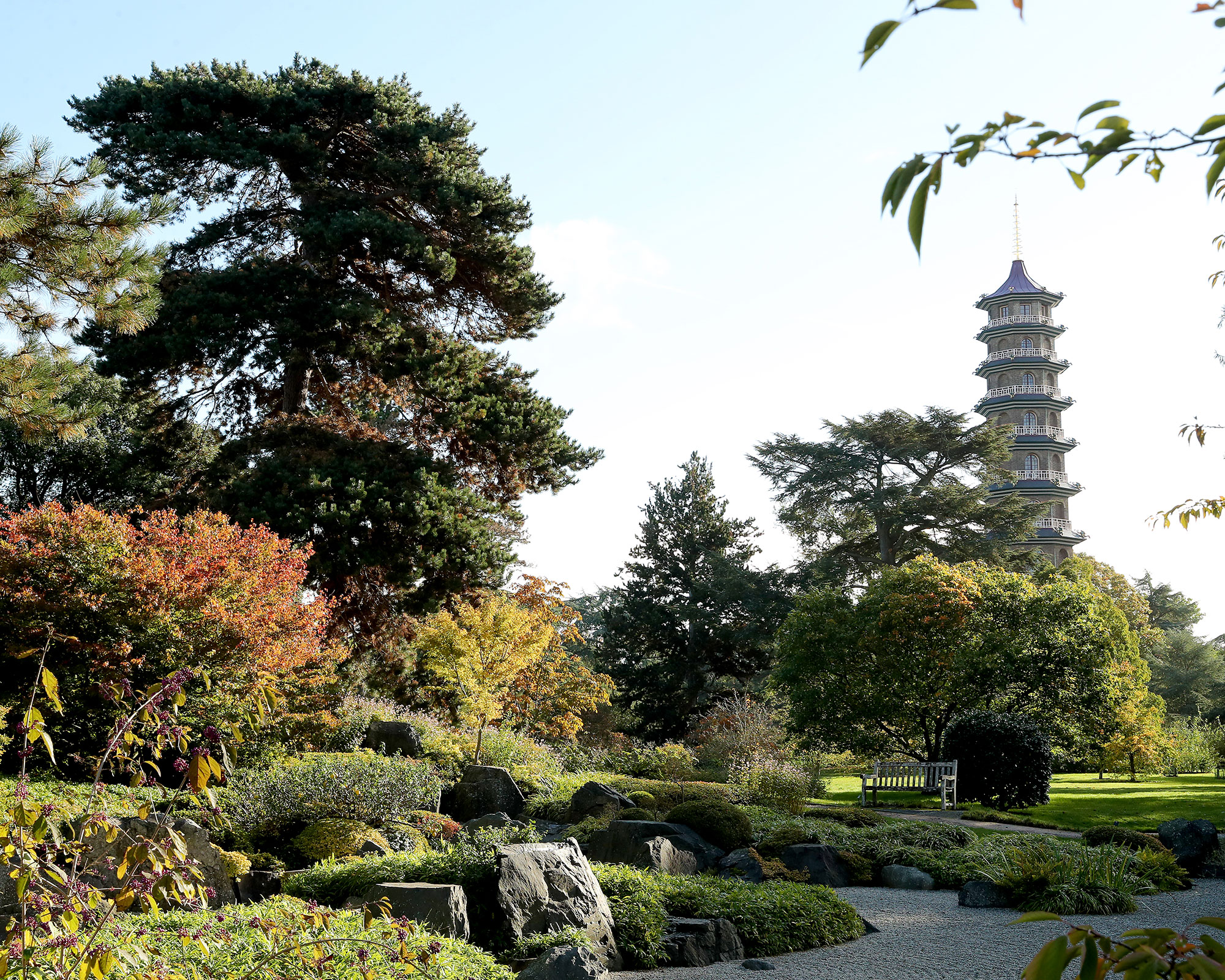 The Japanese garden at The Royal Botanic Gardens Kew with trees, a pathway and a temple