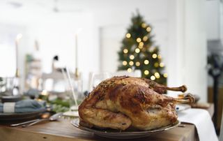 britain could face turkey shortage