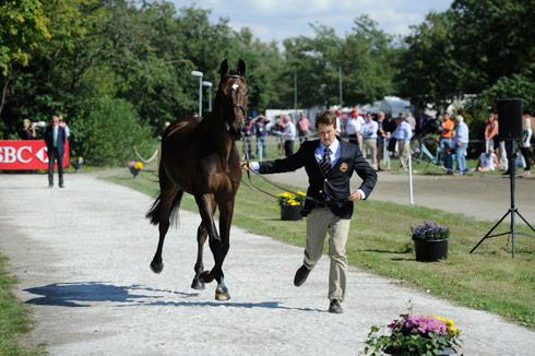 Tom McEwen and Diesel fail the first trot-up at the European Eventing Championships 2013