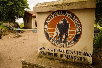 Virunga National Park Congo