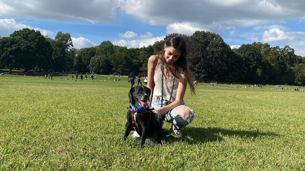 jenny hollander with her dog captain