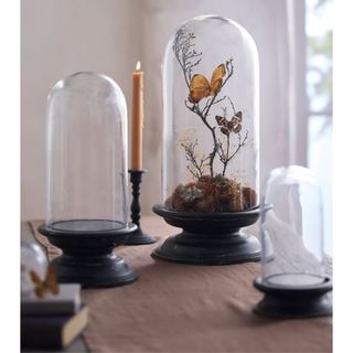 Glass Cloche with Distressed Wood Pedestal Bas