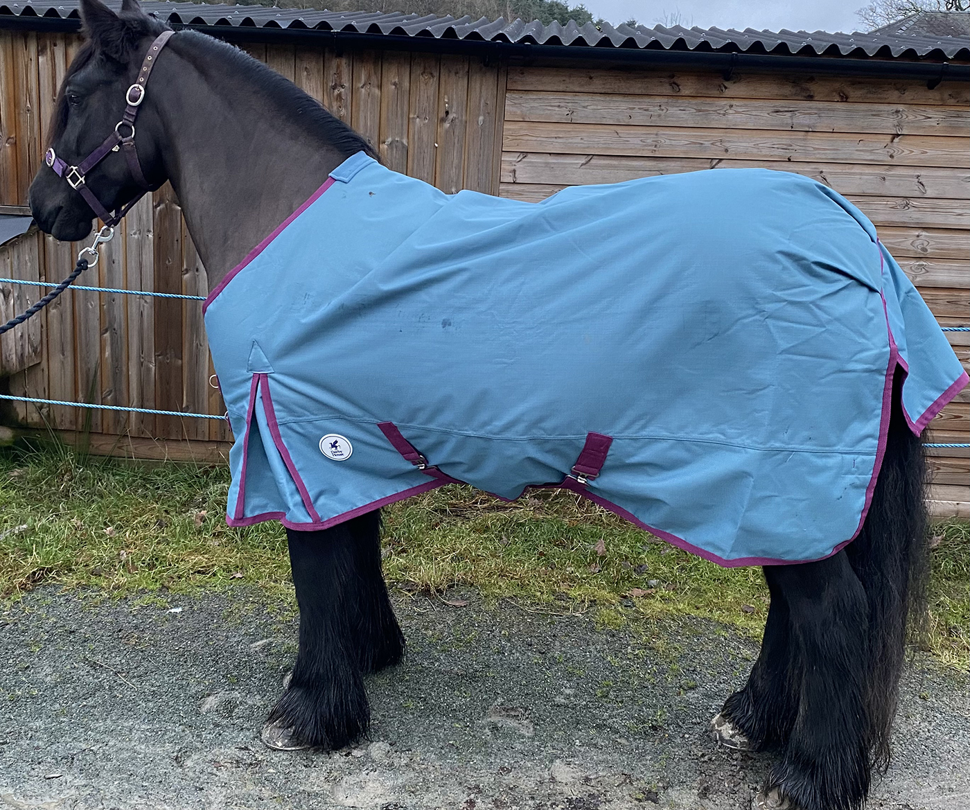 Derby House Pro Medium Lite review