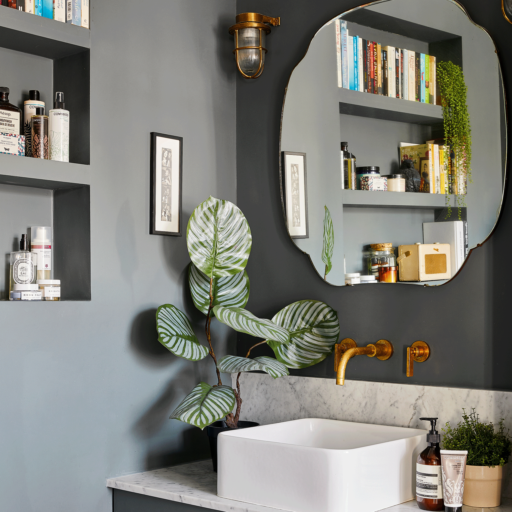 Blue bathroom with sink and house plant