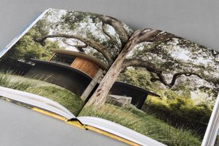 Immersed book by Feldman architects