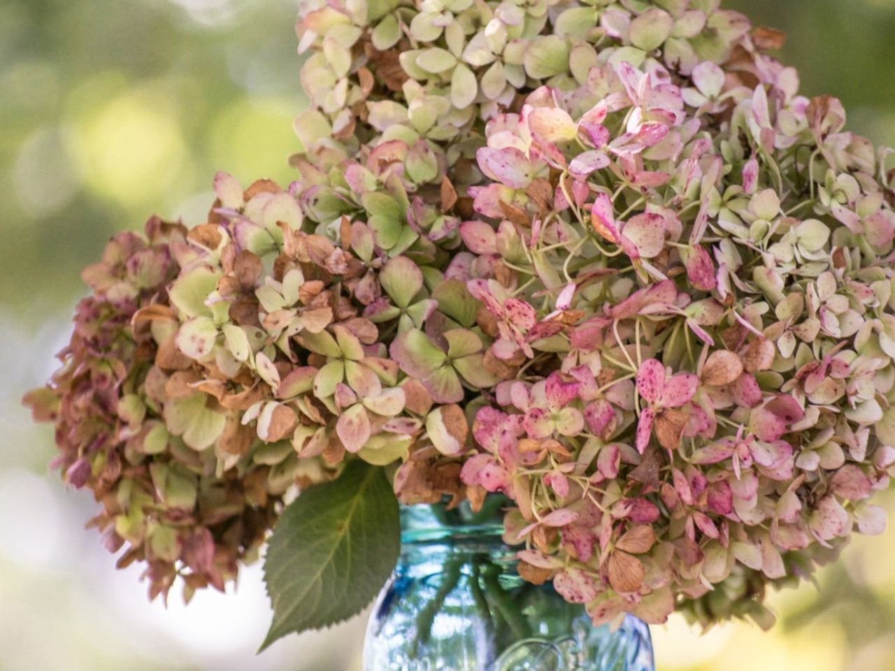 Color Faded Flowers In Glass Jar