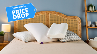 Four different pillows arranged on the bed in TG sleep studio 