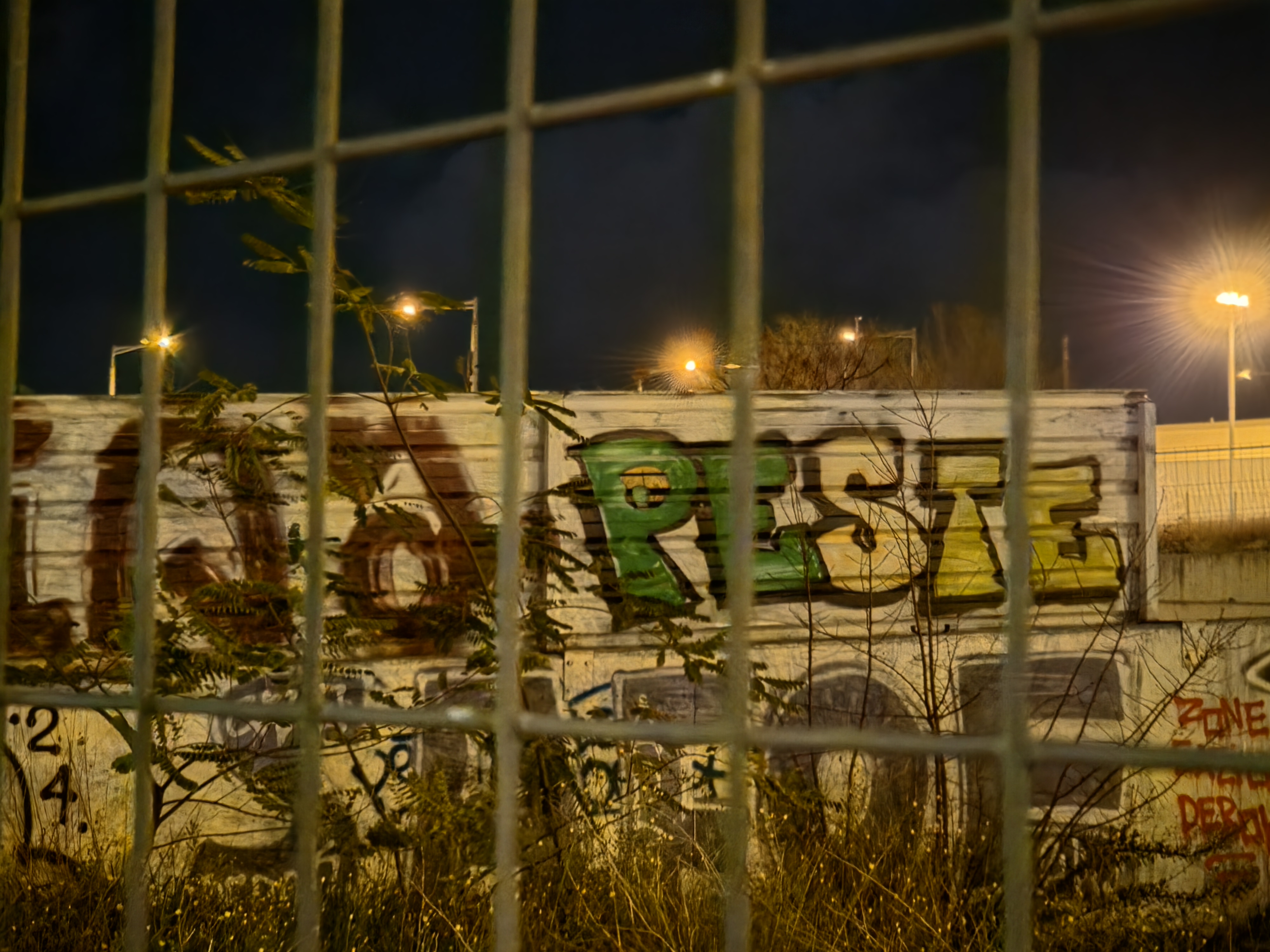 Samsung Galaxy S26 Ultra camera sample at night