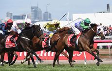 melbourne-cup-michelle-payne.jpg