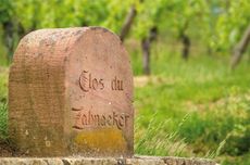 Ribeauvill&eacute;, alsace wine