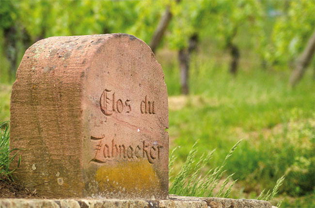 Ribeauvill&amp;eacute;, alsace wine