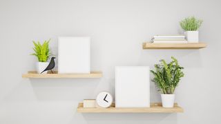 bookshelf on the wall with plants and books to suggest a bookshelf idea for small rooms
