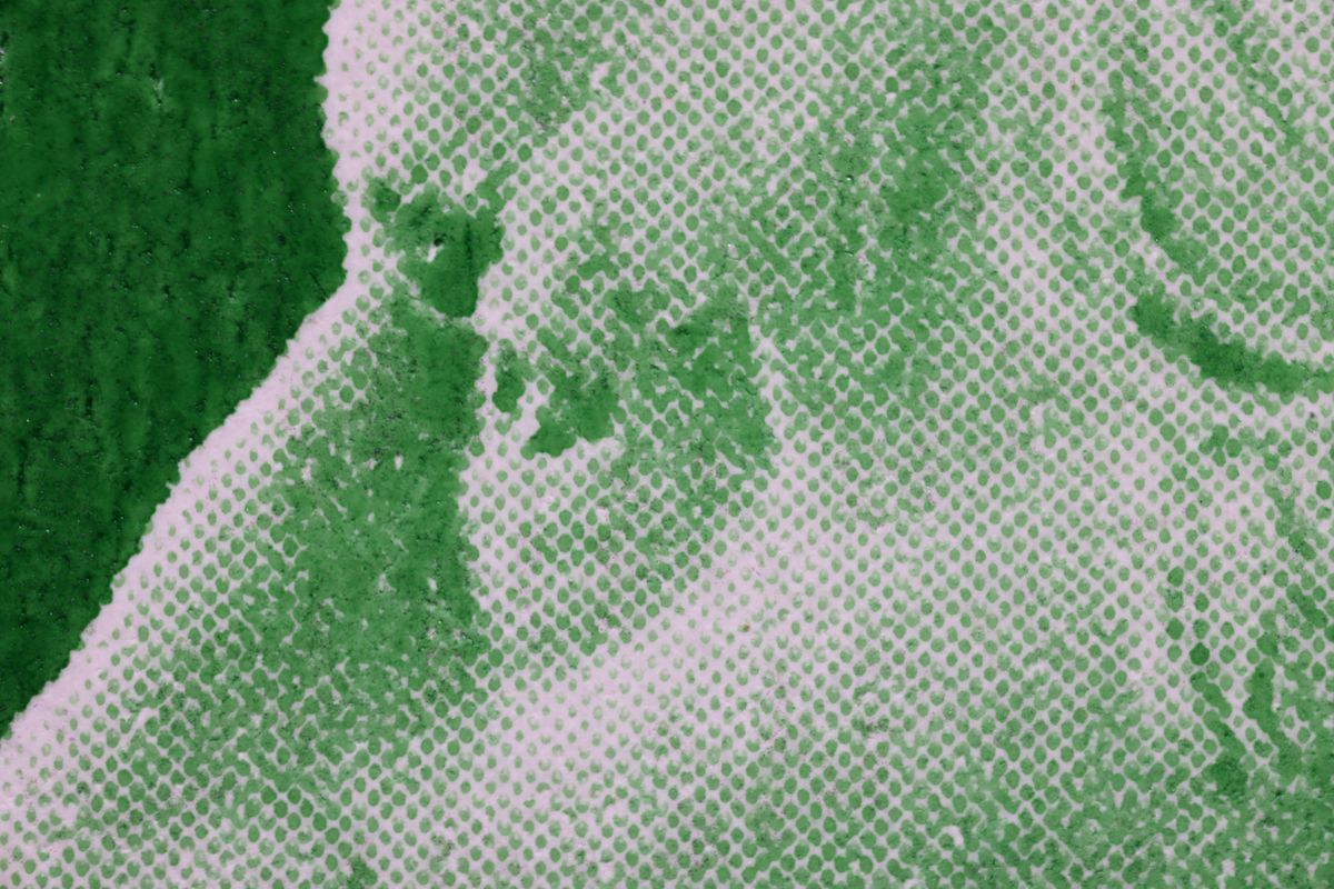 Laowa Aksen 1-5x Ultra Macro APO sample image