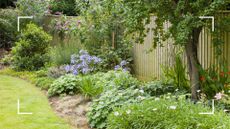 picture of UK garden with floral and foliage border