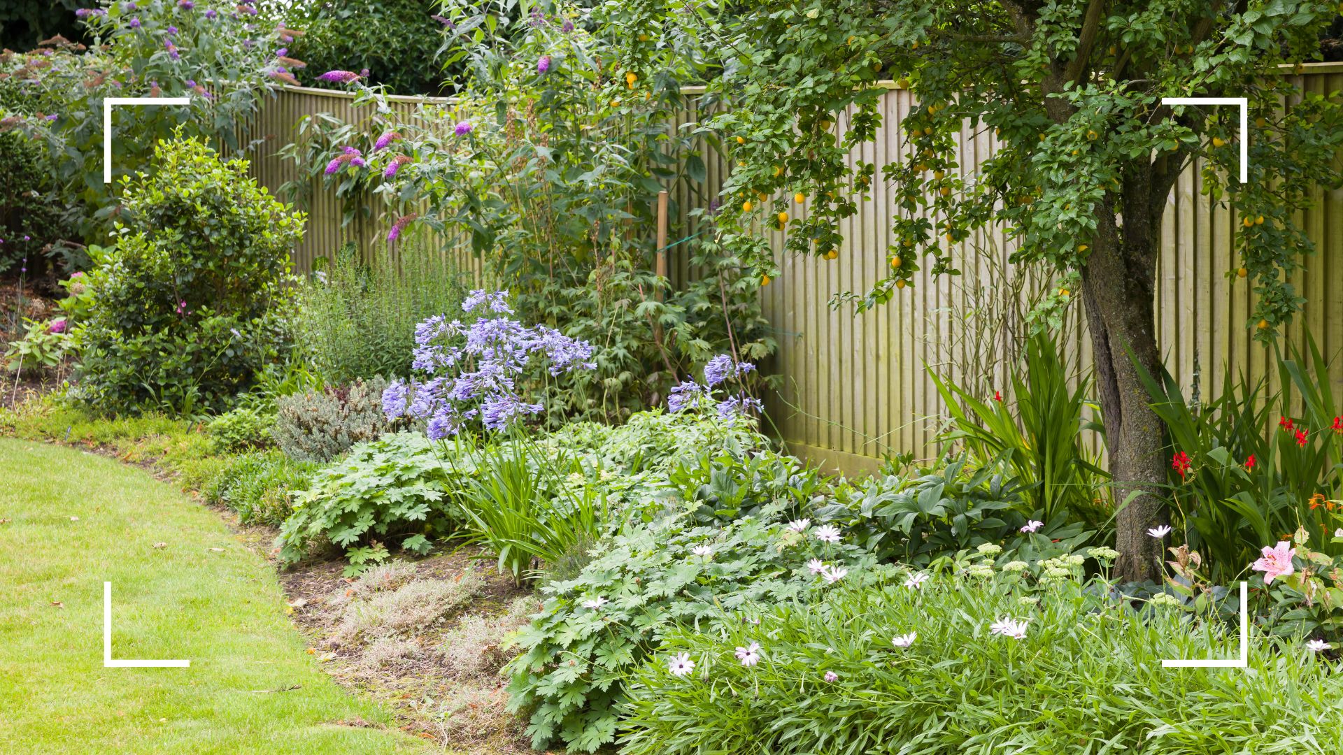 picture of UK garden with floral and foliage border