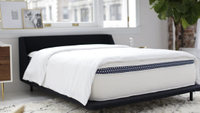 The WinkBeds Plus mattress on a bed frame with a duvet in a brightly lit room