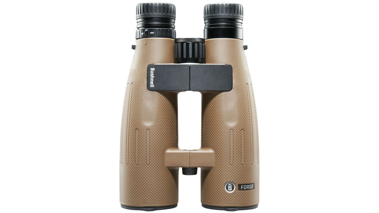 Bushnell Forge 15x56