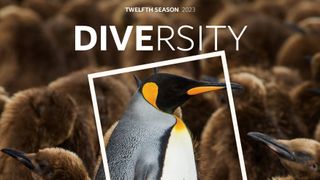 HIPA Announces new DIversity theme