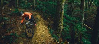 A mountain biker riding a wooded trail