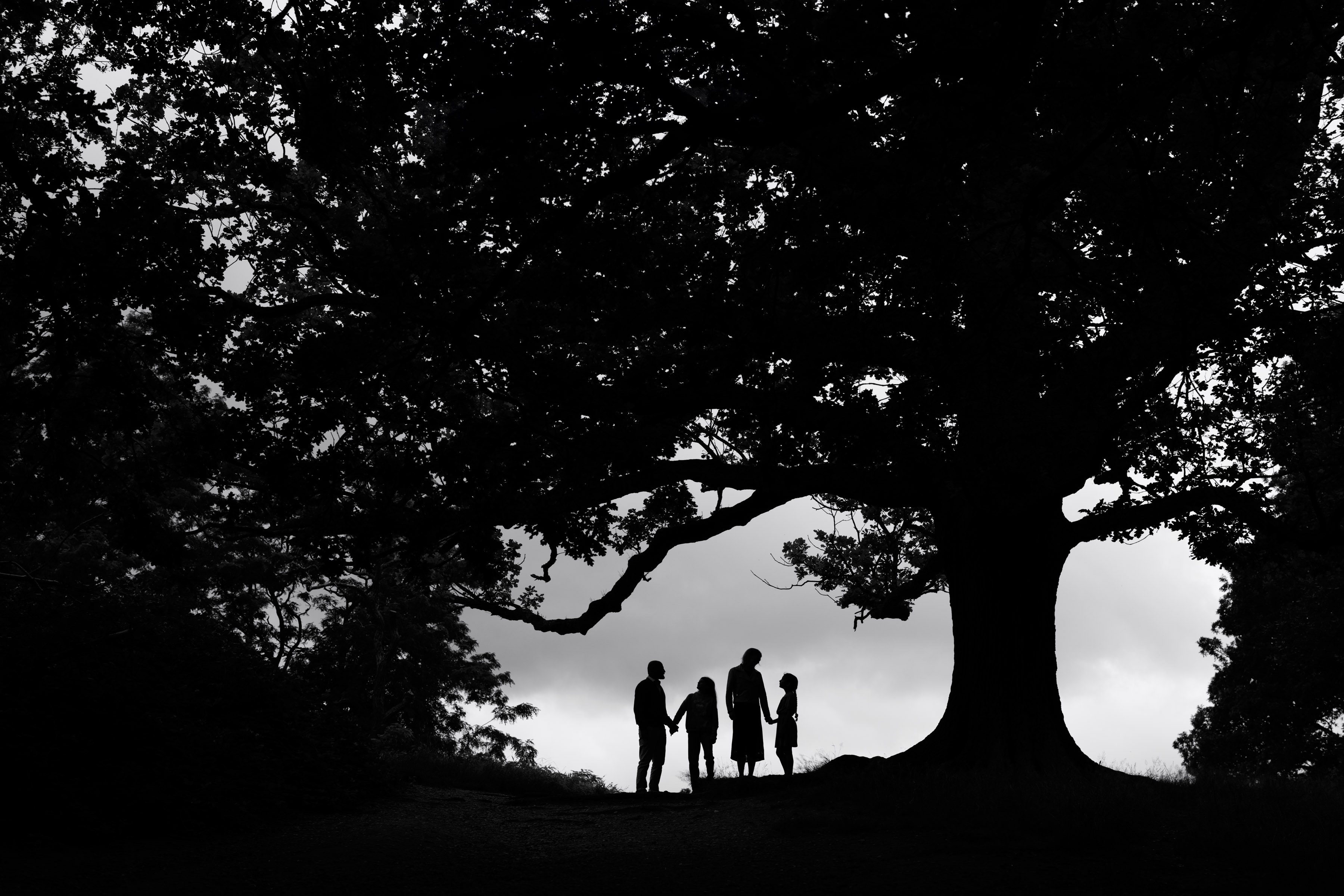 Photograph of a family in silhouette standing under the canopy of a tree, taken by family photographer Helen Bartlett, one of the speakers on the Canon Spotlight stage at The Photography &amp;amp; Video Show 2026