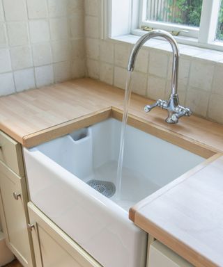 An image of a kitchen sink with a food waste disposal system