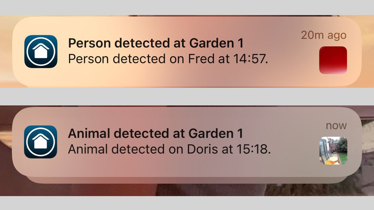 Screenshot of app alerts with Arlo Essential 2nd Gen
