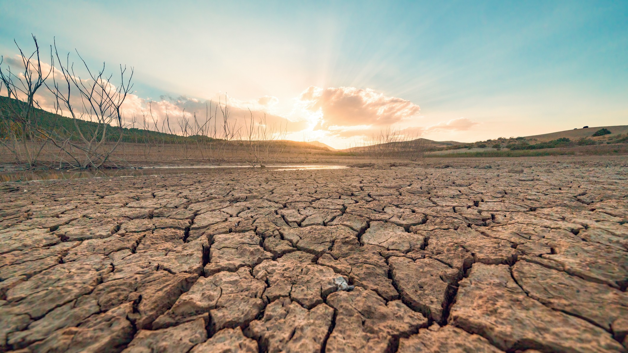 Cracked, dry soil during a drought.
