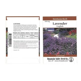 Common English Lavender Flower Garden Seeds