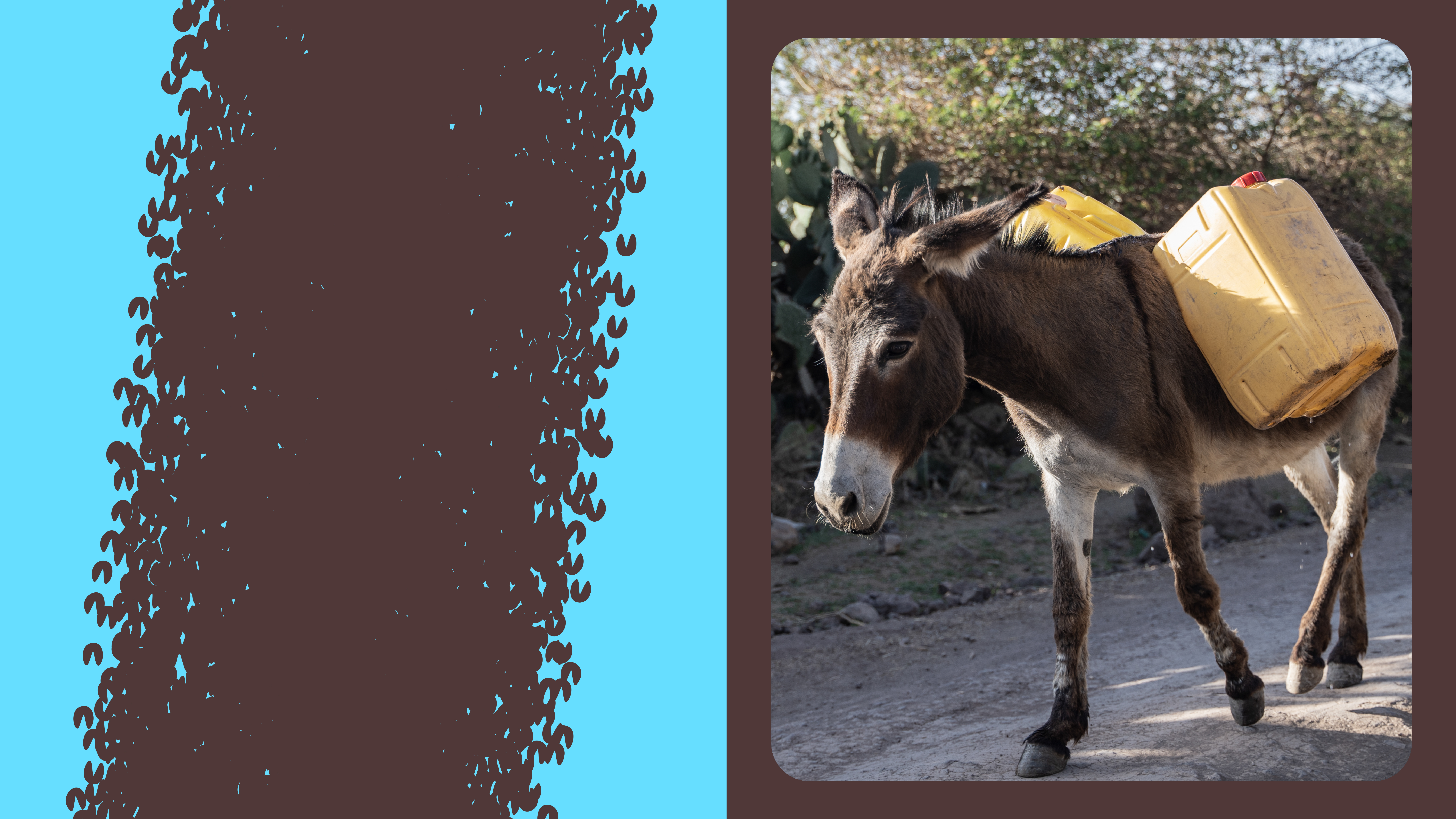 Working Animals International new branding