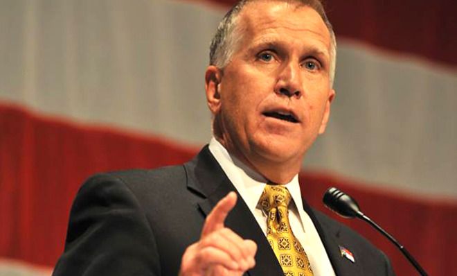 Thom Tillis