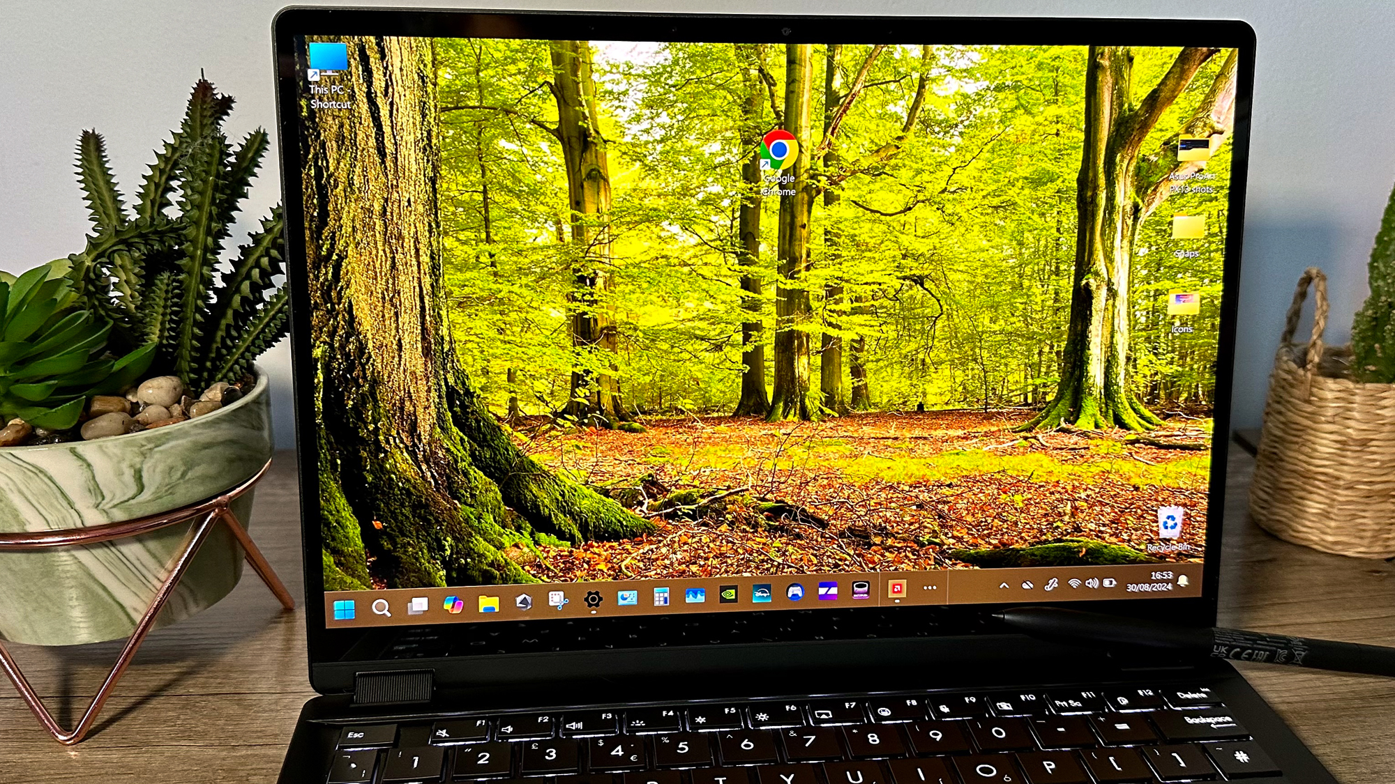 Asus ProArt PX13 60Hz OLED screen with a woodland desktop background