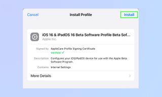 Apple install profile