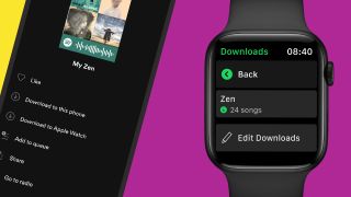 An example of Spotify running on an Apple Watch