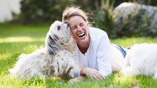 Funny dog jokes - woman lying down with dog laughing as dog licks her