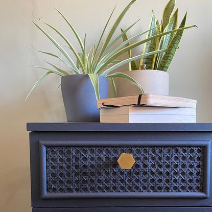 cupboard with books and pooted plants on it