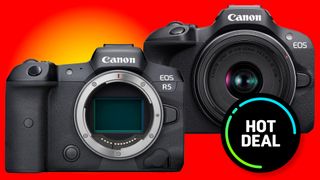 There is $3,000 off this professional Canon EOS - but I still wouldn't buy it!