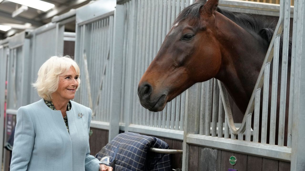 Queen Camilla&#039;s baby-blue box jacket 