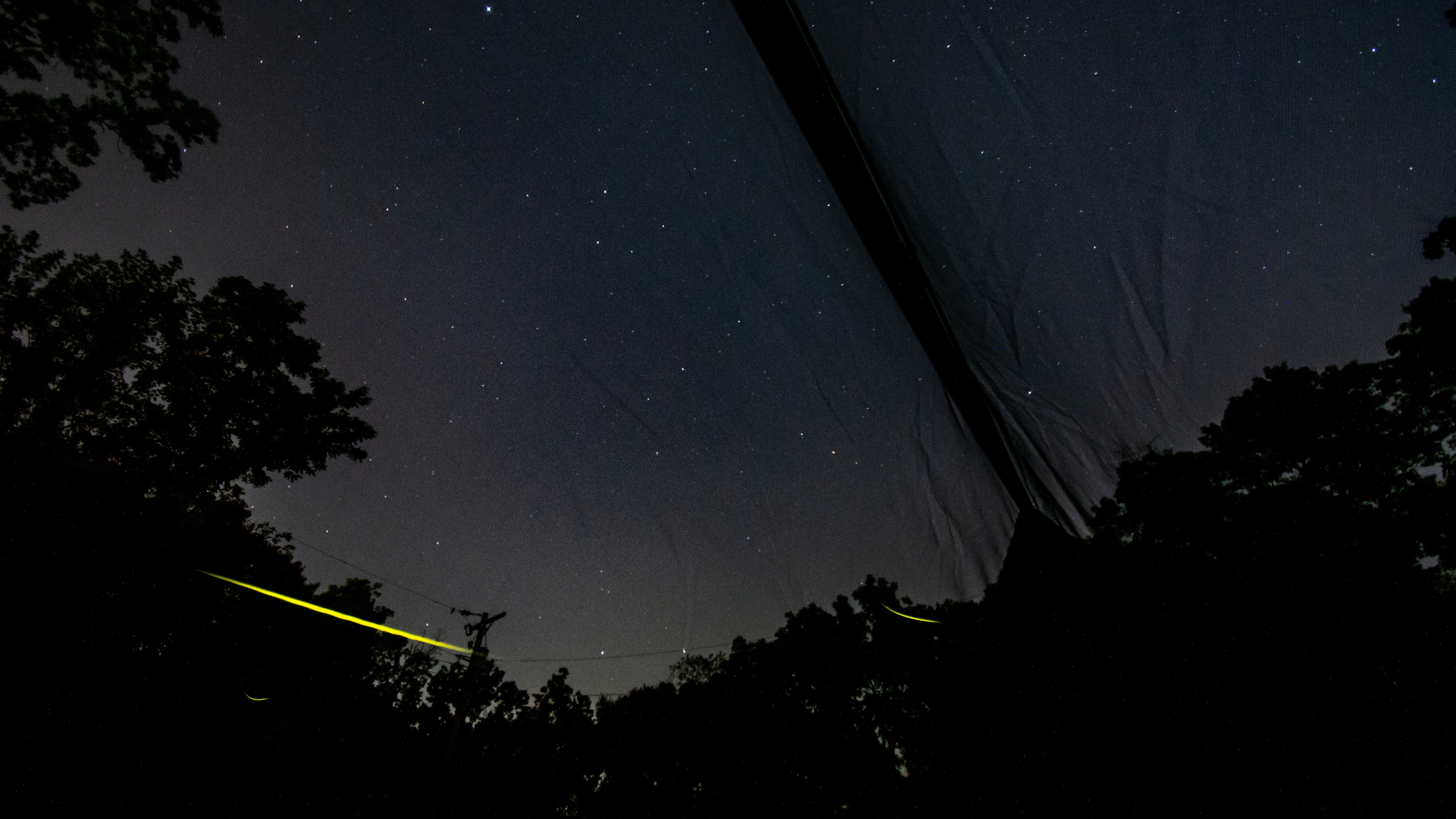 A view of the night sky as fireflies streak by.