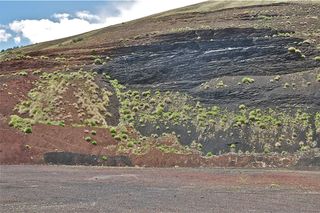 The Springerville Volcanic Field, types of volcanoes