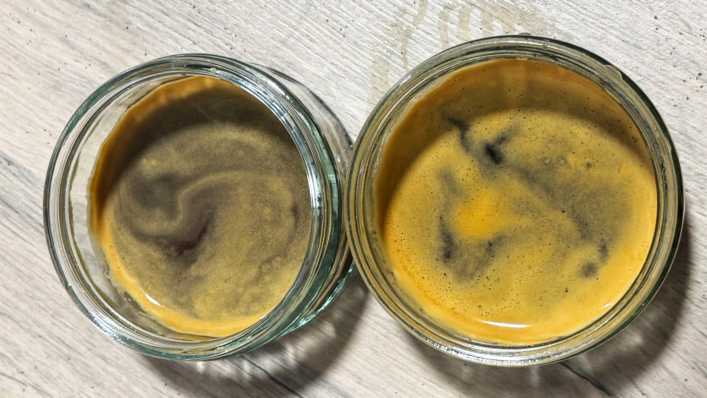 two shots of espresso one made on lelit mara x3 one on the breville bambino