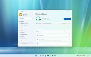 Windows 11 version 22H2 install