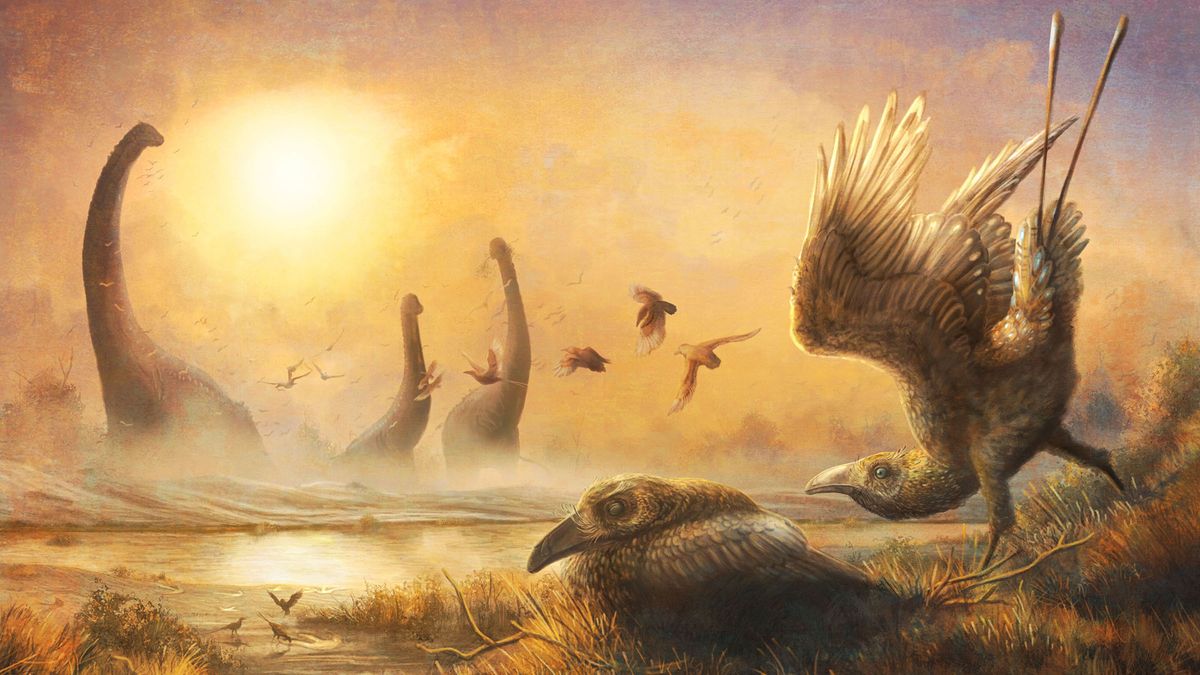 An illustration shows the late Cretaceous bird Falcatakely forsterae flying in ancient Madagascar not too far from sauropod dinosaurs.