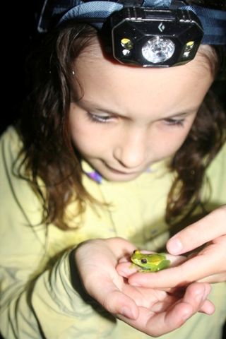 Lisa Belden's daughter holding a tree frog in Ecuador in October 2013. 