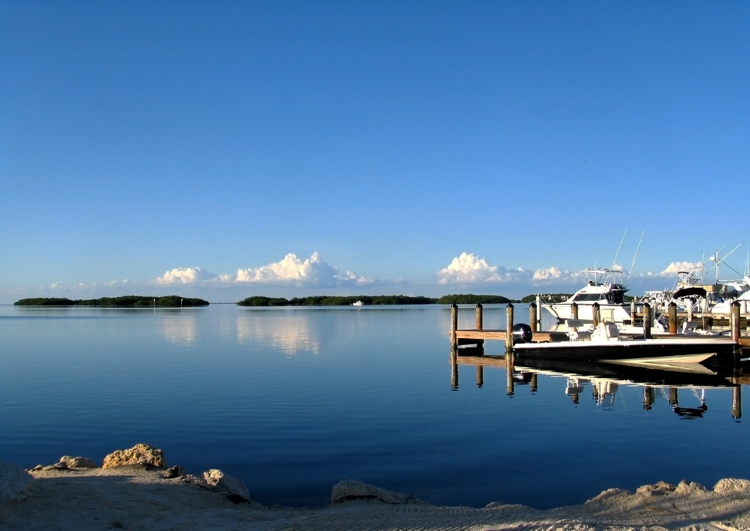 A marina with boats in Islamorada, Florida